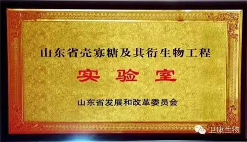 衛(wèi)康董事長(zhǎng)王宗繼匠心營(yíng)造 再獲多項(xiàng)殊榮
