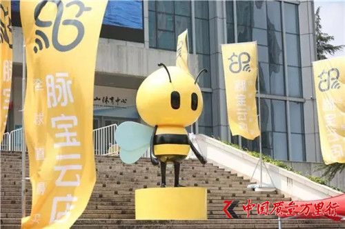 中脈攜手脈道網(wǎng)絡(luò)強(qiáng)勢(shì)布局社交電商，脈寶云店正式上線
