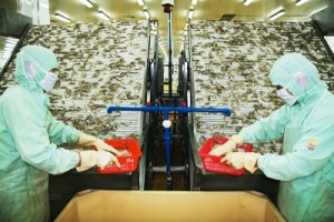 湛江檢驗檢疫局對出口企業(yè)大力幫扶