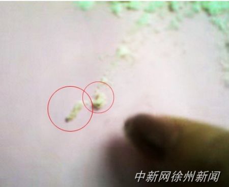 畫圈處為從奶粉中挑出的蟲子。