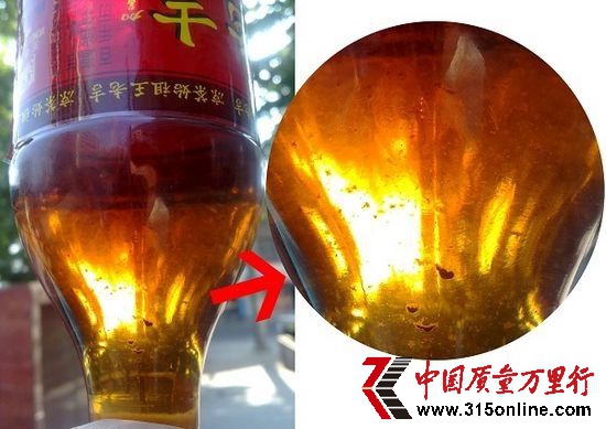 瓶中的黑色絮狀腐敗物清晰可見。