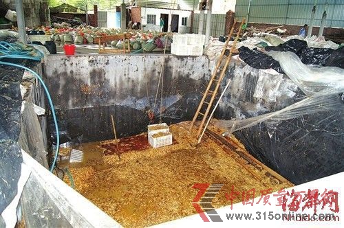 在這個數(shù)十平方米的大池子里，黑心商家用工業(yè)檸檬酸泡出了35噸金針菇