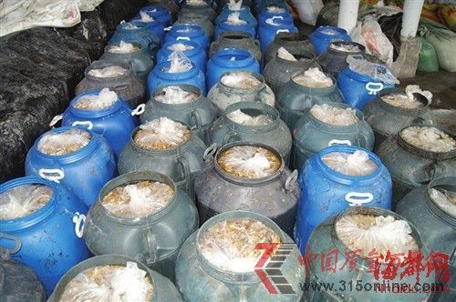 600多袋已加工好的金針菇被當(dāng)場查封