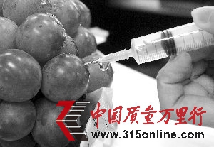 市民新買葡萄現(xiàn)針眼懷疑買到注水葡萄 專家辟謠(圖)