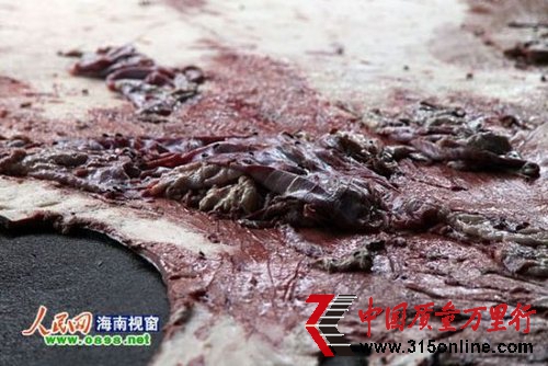 �？谝晃廴炯庸S生產(chǎn)毒牛皮 大量使用重金屬鉻